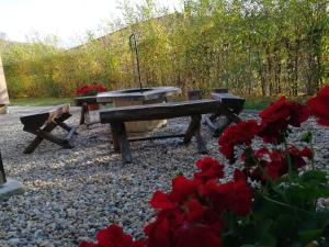 une table de pique-nique et un banc avec des fleurs rouges dans l'établissement Felsőréti Vendégház, à Demjén