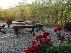 - un jardin avec une table de pique-nique et des fleurs rouges dans l'établissement Felsőréti Vendégház, à Demjén