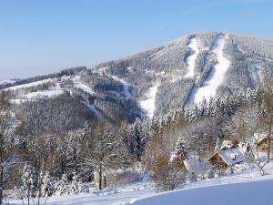 ストラージュネーにあるHotel Vltavaの雪山(木々とスキー場)