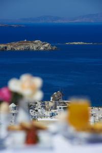 een uitzicht op de oceaan en een groep witte gebouwen bij Damianos Mykonos Hotel in Mykonos-stad