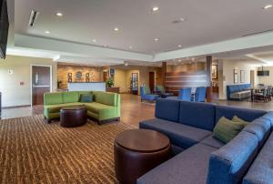 Ruang duduk di Comfort Inn & Suites - Harrisburg Airport - Hershey South