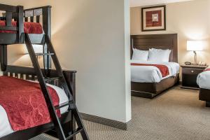 Легло или легла в стая в Comfort Suites South Bend Near Casino