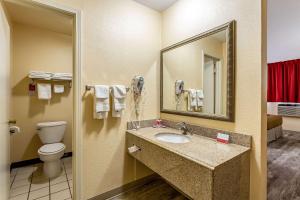 Econo Lodge Inn & Suites 욕실