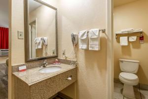 Econo Lodge Inn & Suites 욕실