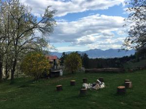 un campo con alberi e tronchi nell’erba di Blue Cottage a Podvrh