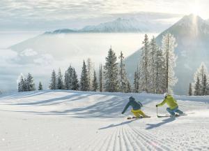 HOFERHOF ski in & ski out HOTEL Schladming -Dachstein trong mùa đông