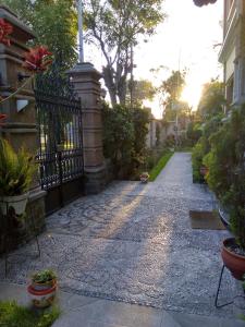 Kebun di luar El Balcon Hostal Turistico