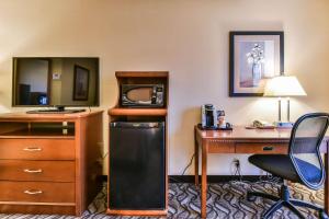 Gallery image of Comfort Inn & Suites Ambassador Bridge in Windsor