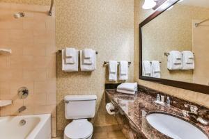 a bathroom with a sink and a toilet and a mirror at Comfort Inn & Suites Ambassador Bridge in Windsor