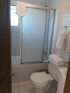 ein Bad mit einem WC und einer Dusche in der Unterkunft Apart Hotel Gran Pacifico in La Serena