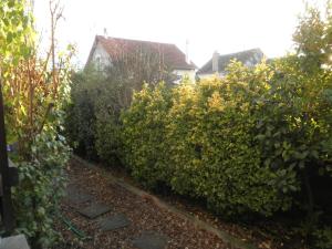 Un jardín fuera de Chambres d'hôtes Les Nefliers