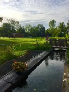 Vrt pred nastanitvijo Agriturismo Helianthus