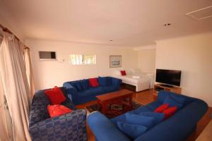 a living room with blue couches and a television at Verona Vineyard Cottage in Pokolbin