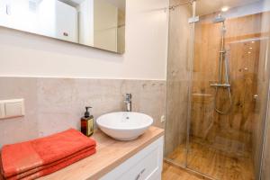 a bathroom with a sink and a shower at Apartamentai Geliu Vila in Nida