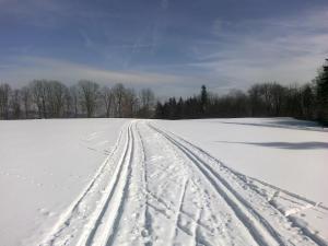 Apartmány Polevsko durante o inverno