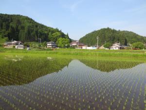 un campo d’acqua con case sullo sfondo di Shitanda a Takayama