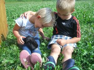 two children sitting in the grass playing with a kitten at Kompatscherhof in Castelrotto