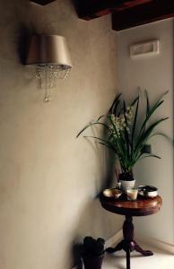 a table with a potted plant and a chandelier at Papere e Tulipani in Vicenza