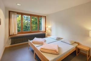 - une chambre avec 2 lits et une fenêtre dans l'établissement Grindelwald Youth Hostel, à Grindelwald