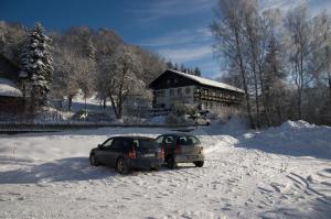 Landhotel Bayerwald durante el invierno