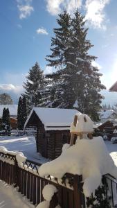 ein schneebedecktes Haus neben einem Baum in der Unterkunft Haus Gabriele in Bad Mitterndorf