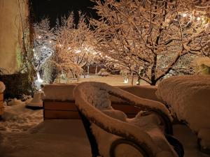 un giardino coperto di neve con alberi e luci di Pensiune Restaurant La Cassa a Vişeu de Sus