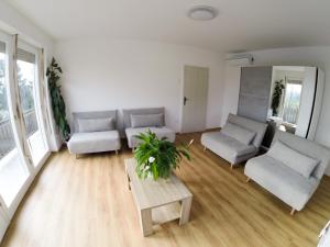 ein Wohnzimmer mit 2 Sofas und einem Tisch in der Unterkunft Apartments Andrej in Ptuj