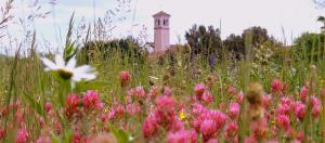 Un jardín fuera de Il Rifugio del Monaco