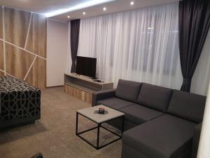 TV/trung tâm giải trí tại Hotel Zlatna Žita