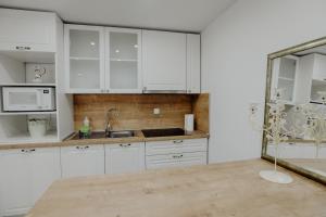 Eldhús eða eldhúskrókur á Apartman SLAVONIA ĐAKOVO