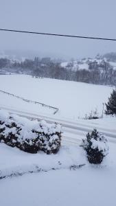 een met sneeuw bedekt veld met struiken en een hek bij Staś -przy szkole nr 3 w Skawie in Skawa