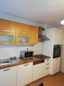 Nhà bếp/bếp nhỏ tại Apartmaji Pri Kokolu