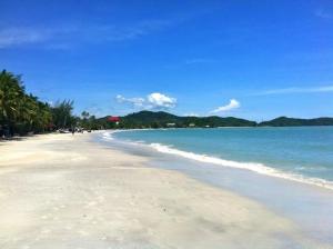 a beach with trees and the ocean on a clear day w obiekcie Hotel Adya Express Chenang w mieście Pantai Cenang