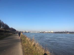 Gallery image of Rheinblick Sommershof in Cologne