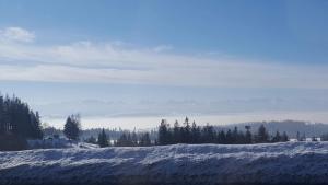 een met sneeuw bedekt veld met bomen op de achtergrond bij Staś -przy szkole nr 3 w Skawie in Skawa