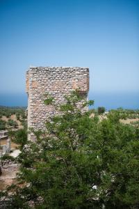 a tall stone tower sitting on top of a tree at Arapakis Historic Castle in Pirgos Dhirou