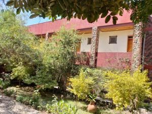 Vonkajšia záhrada v ubytovaní Top Twelve Hotel - Lalibela