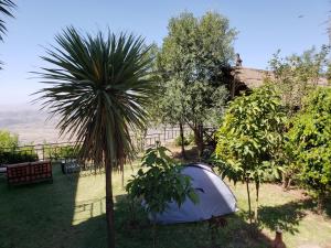 Vonkajšia záhrada v ubytovaní Top Twelve Hotel - Lalibela