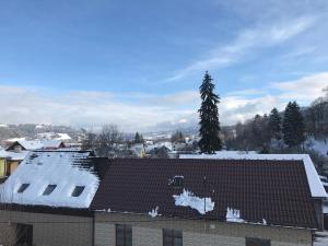 een dak van een gebouw bedekt met sneeuw bij Ubytování U Valašských ponožek in Hovězí