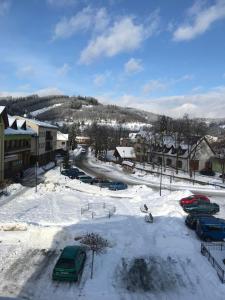 een klein stadje met auto's geparkeerd in de sneeuw bij Ubytování U Valašských ponožek in Hovězí