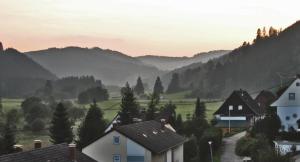 a view of a village with mountains in the background at Urseetalblick in Lenzkirch