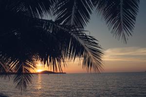 een palmboom met de zonsondergang op de achtergrond bij Paradise Beach Resort, Koh Samui - SHA Extra Plus in Mae Nam