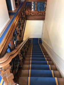 Un escalier avec des escaliers bleu et or et une rampe en bois dans l'établissement Hotelo Lyon Charité, à Lyon