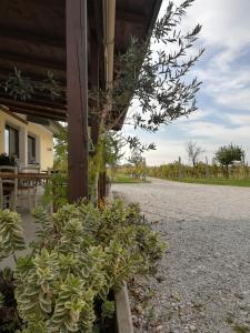 Vrt pred nastanitvijo Agriturismo "La di Buiat