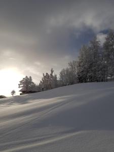 ein schneebedecktes Feld mit Bäumen im Hintergrund in der Unterkunft Le Refuge in Cordon