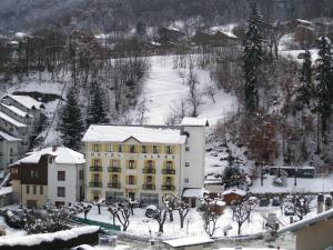 Hotel des Alpes om vinteren