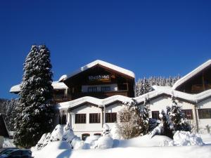 Waldhotel Seebachschleife durante o inverno