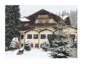 Waldhotel Seebachschleife durante o inverno