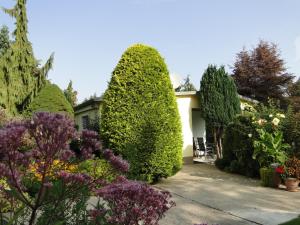 Сад в Sommerhaus im Grünen