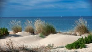 een paar zandduinen met de oceaan op de achtergrond bij Leo Punta Umbría in Punta Umbría